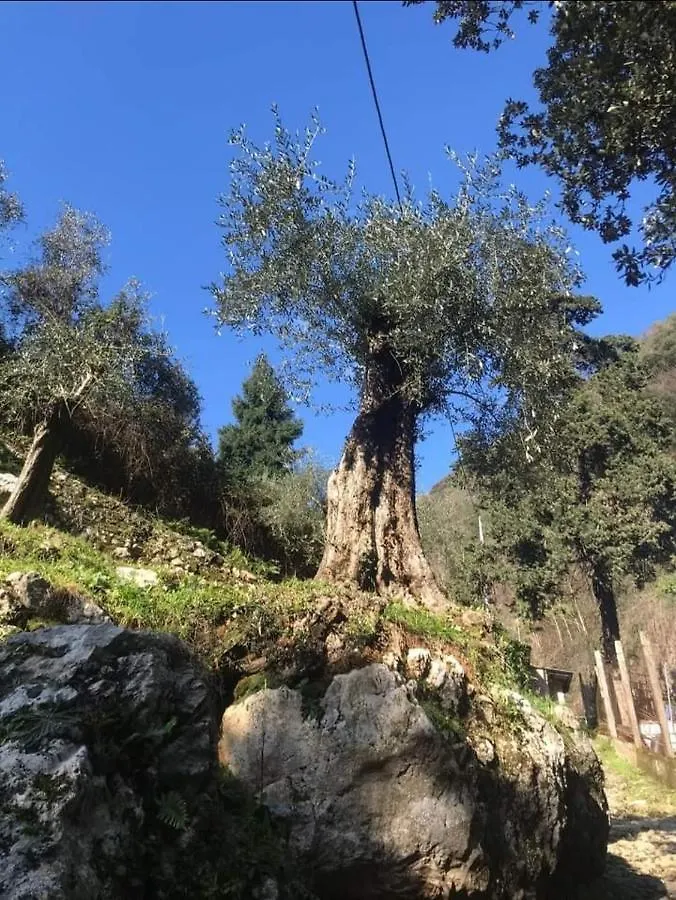 بيت ضيافة B&B Candalla كامايوري إيطاليا