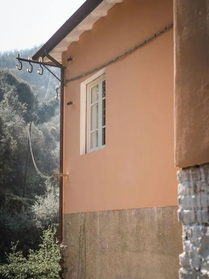 بيت ضيافة B&B Candalla كامايوري إيطاليا